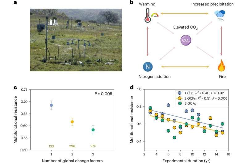 The higher the environmental pressure, the lower the resistance to global change