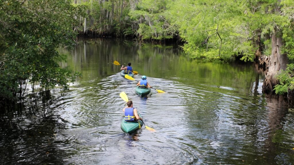 Florida agency postpones meetings on state park plans, citing 'overwhelming interest'